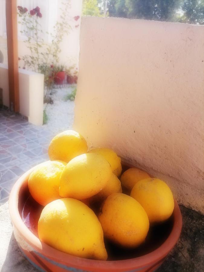 칼리베스 Lemon Tree House 빌라 외부 사진